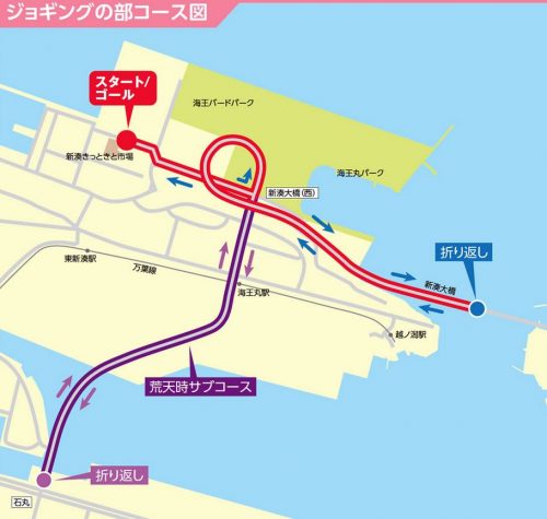 富山マラソンのジョギングの部コース